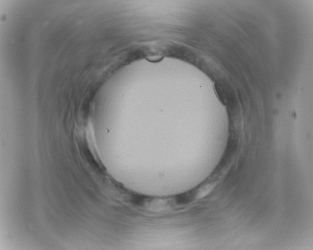 X0000070350129200607072048