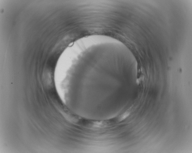X0000070350130200607072048