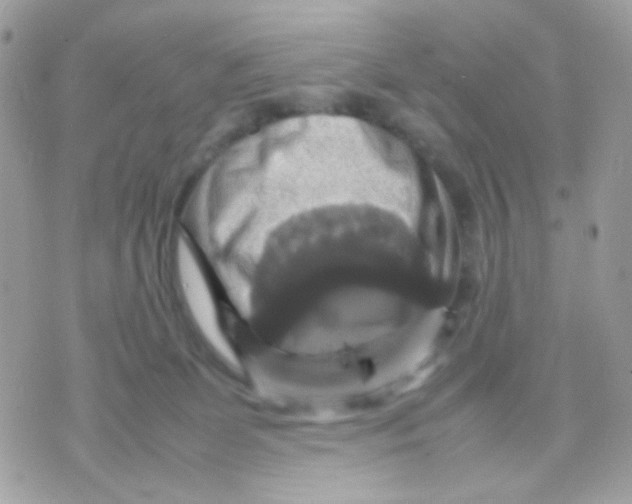 X0000070350131200607072048