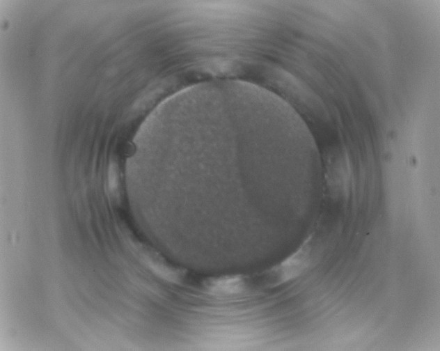 X0000070350132200607072048