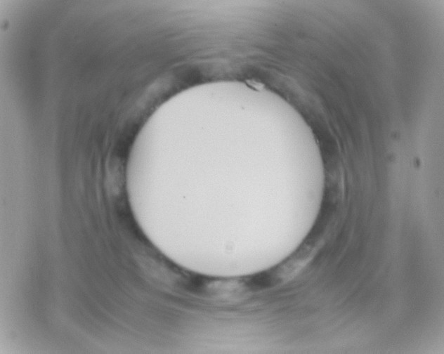 X0000070350133200607072048