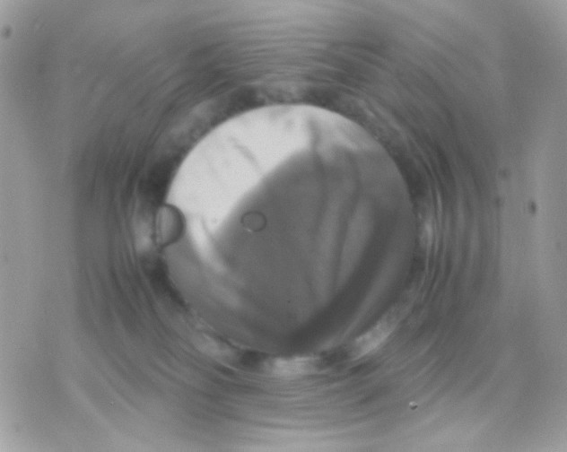 X0000070350134200607072048