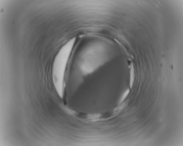 X0000070350143200607072047