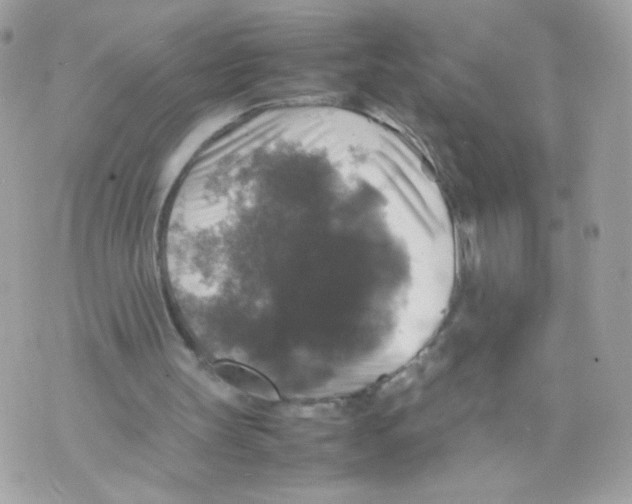 X0000070350147200607072047