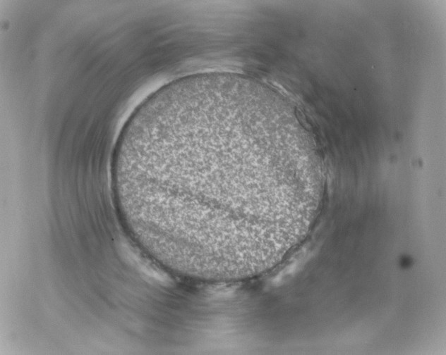 X0000070350148200607072047