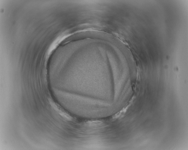 X0000070350150200607072047