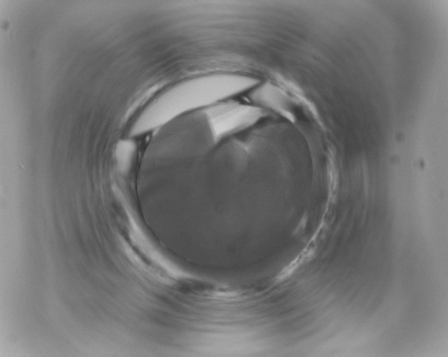 X0000070350154200607072047