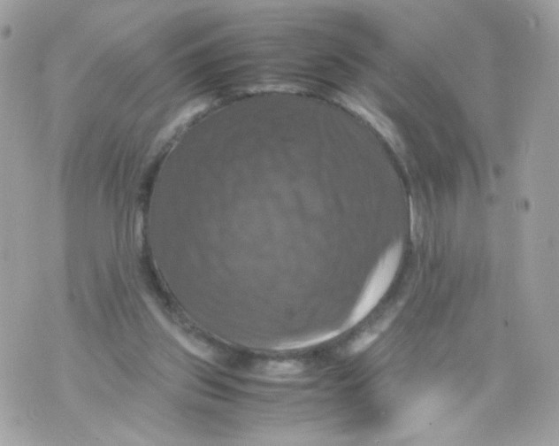 X0000070350157200607072047