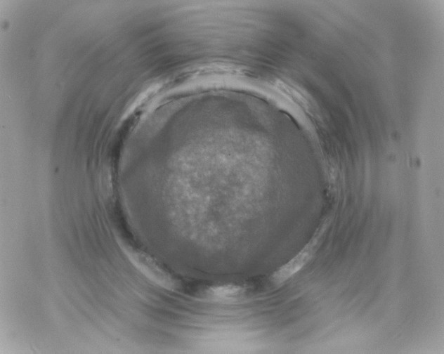 X0000070350158200607072047