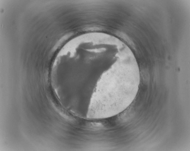 X0000070350159200607072047