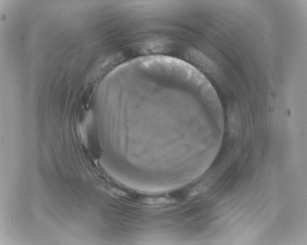 X0000070350169200607072047