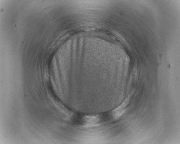 X0000070350170200607072047