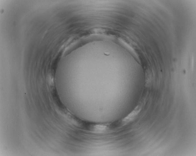 X0000070350176200607072047