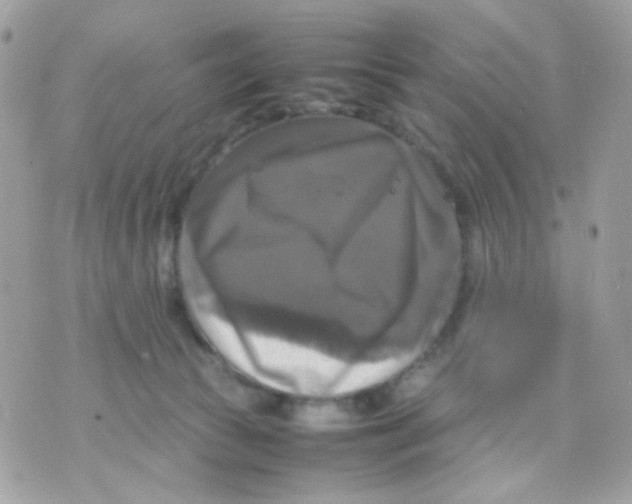 X0000070350177200607072047