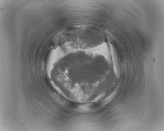 X0000070350178200607072047