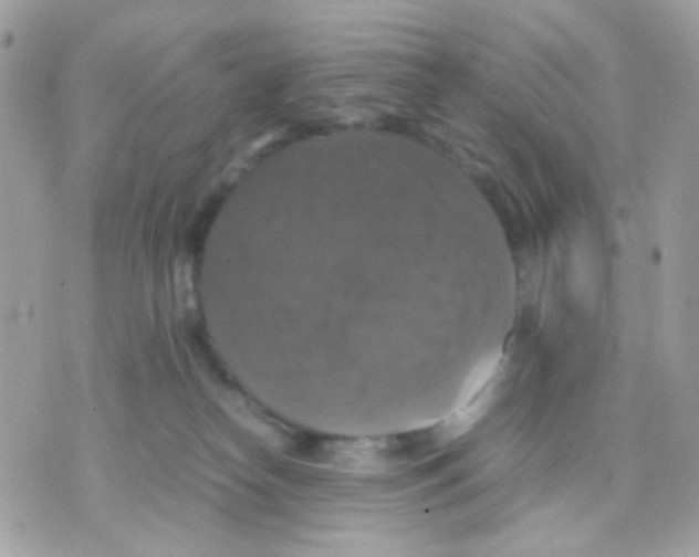 X0000070350182200607072047