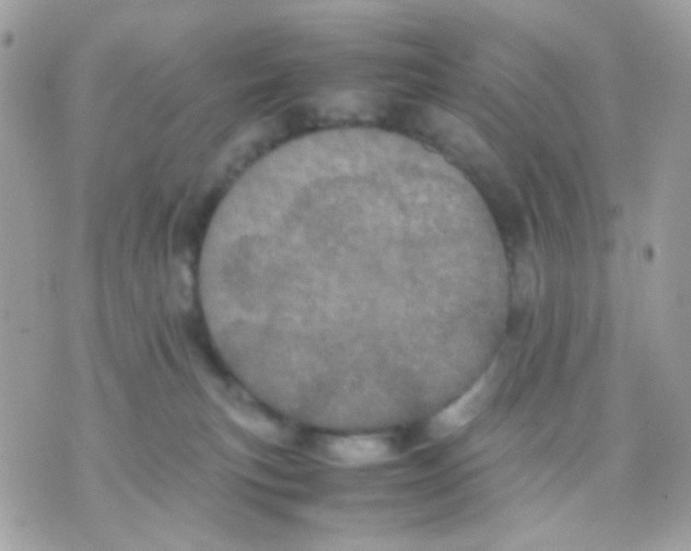 X0000070350183200607072047