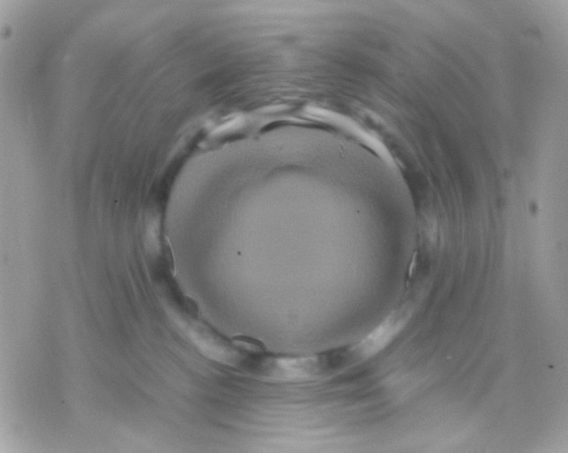 X0000070350188200607072047