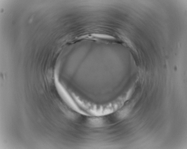 X0000070350189200607072047