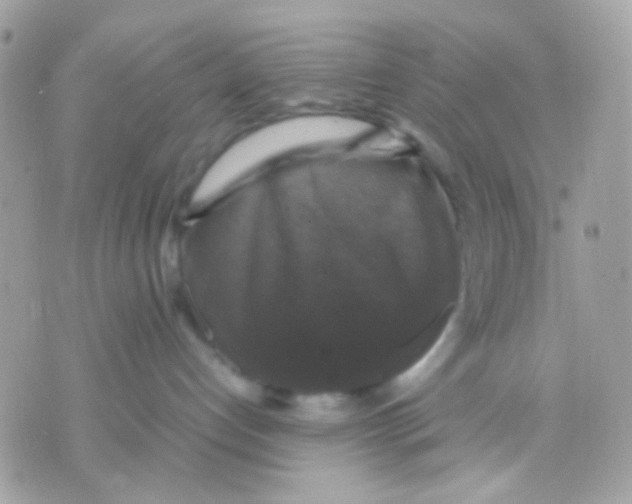 X0000070350192200607072047