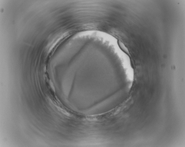 X0000070350194200607072047