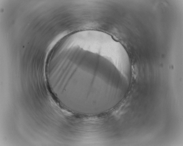 X0000070350196200607072047