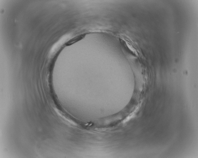 X0000070350197200607072046