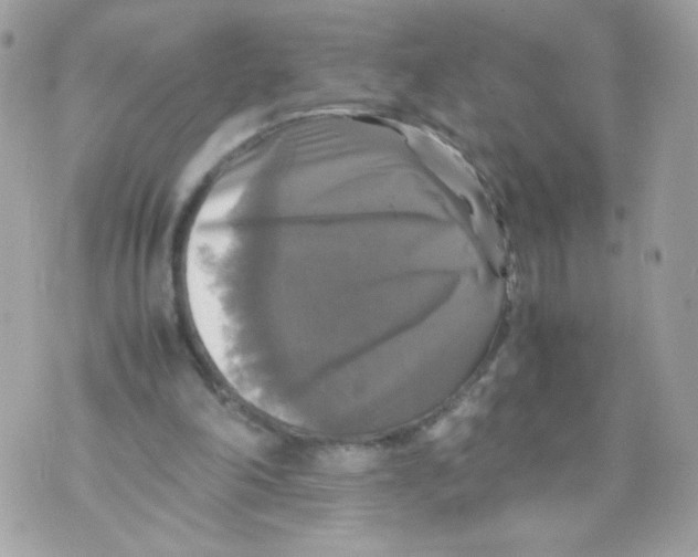 X0000070350198200607072046