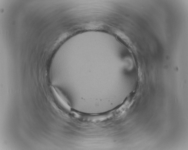 X0000070350201200607072046