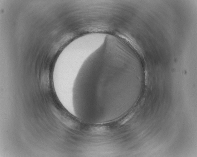 X0000070350202200607072046