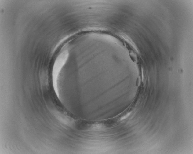 X0000070350204200607072046