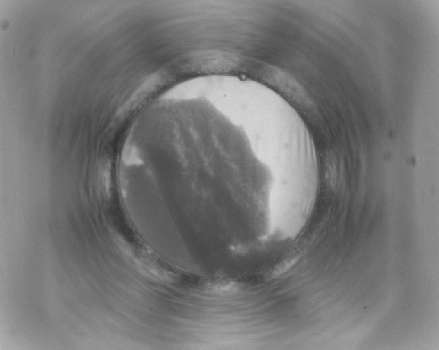 X0000070350206200607072046