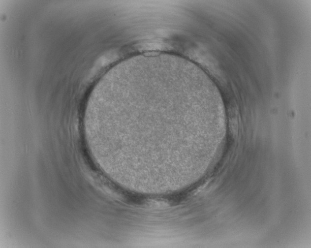 X0000070350207200607072046