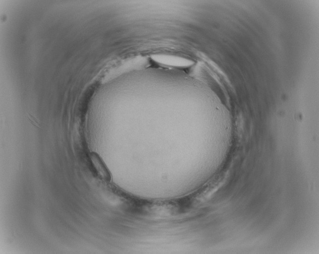 X0000070350209200607072046