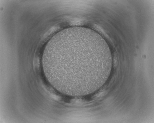 X0000070350211200607072046