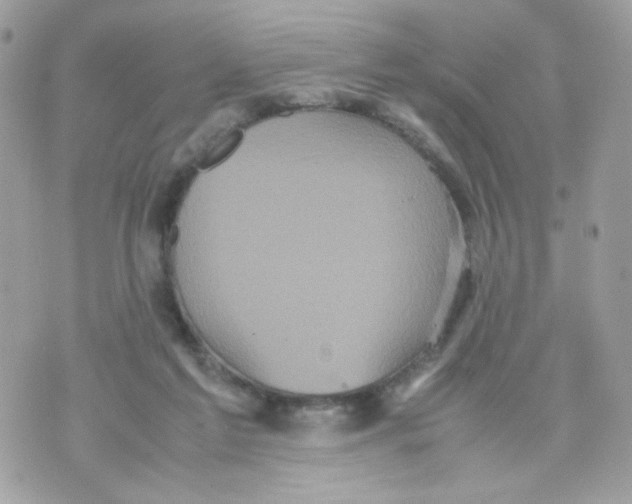 X0000070350213200607072046