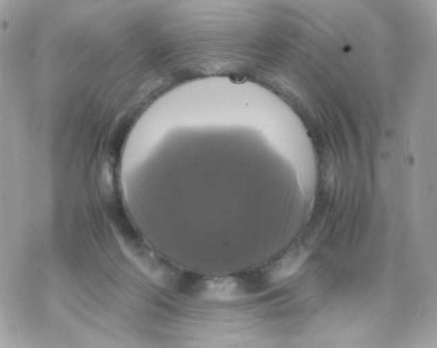 X0000070350214200607072046