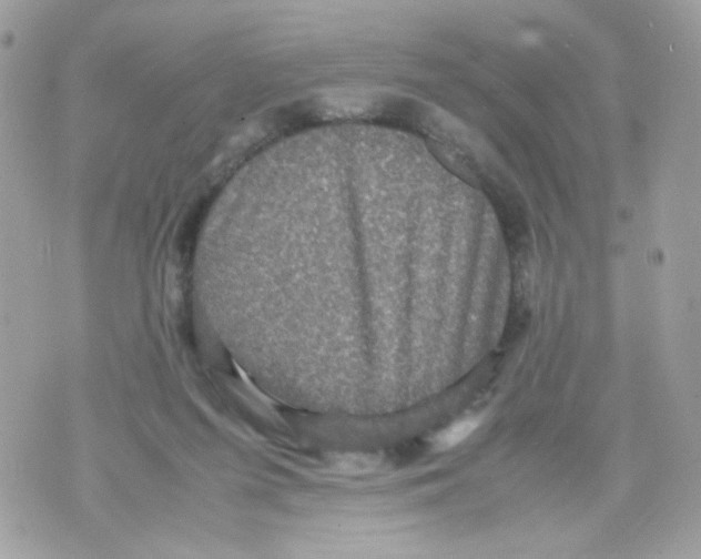 X0000070350215200607072046