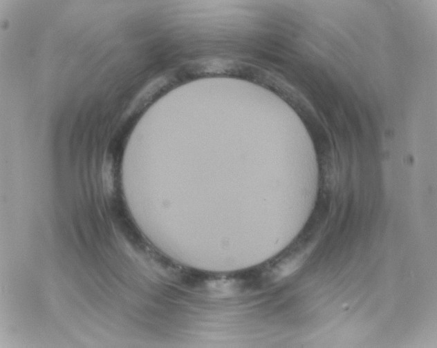 X0000070350216200607072046