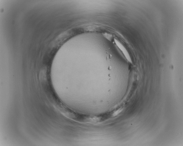 X0000070350217200607072046