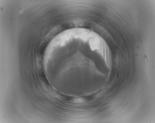 X0000070350218200607072046