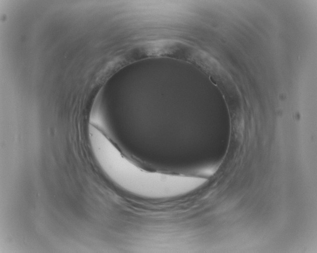 X0000070350219200607072046