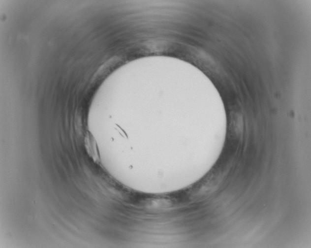 X0000070350220200607072046