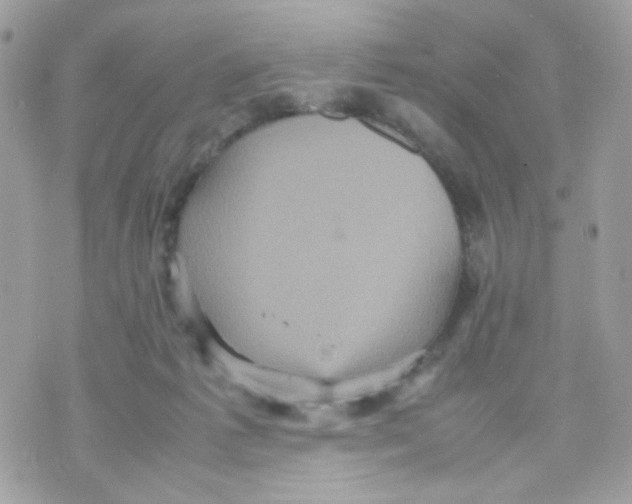 X0000070350221200607072046