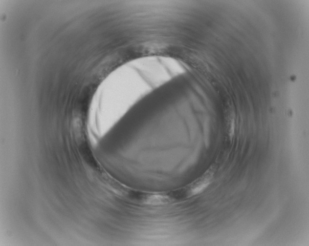 X0000070350222200607072046