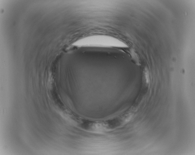 X0000070350223200607072046