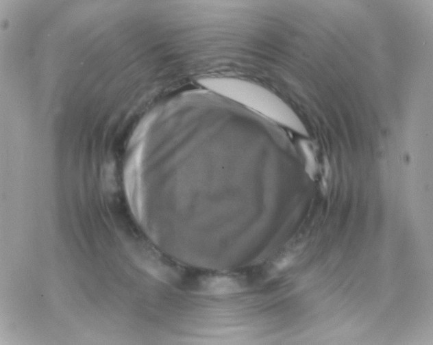 X0000070350224200607072046