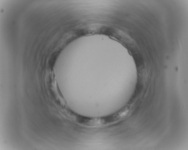 X0000070350225200607072046