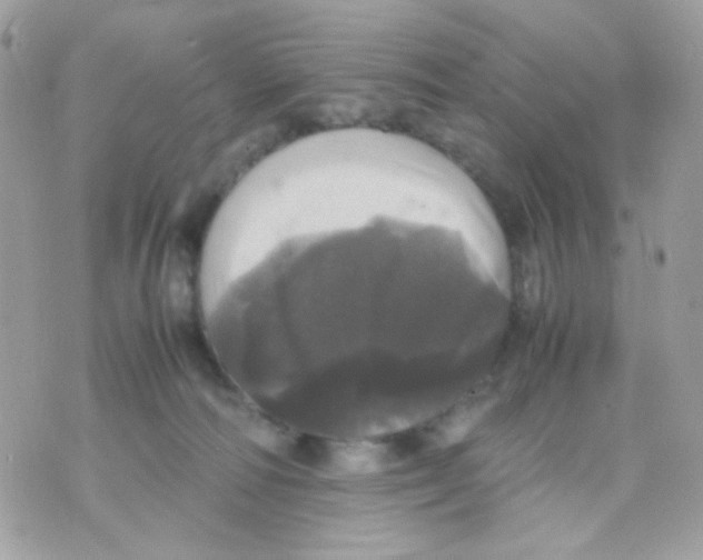 X0000070350226200607072046