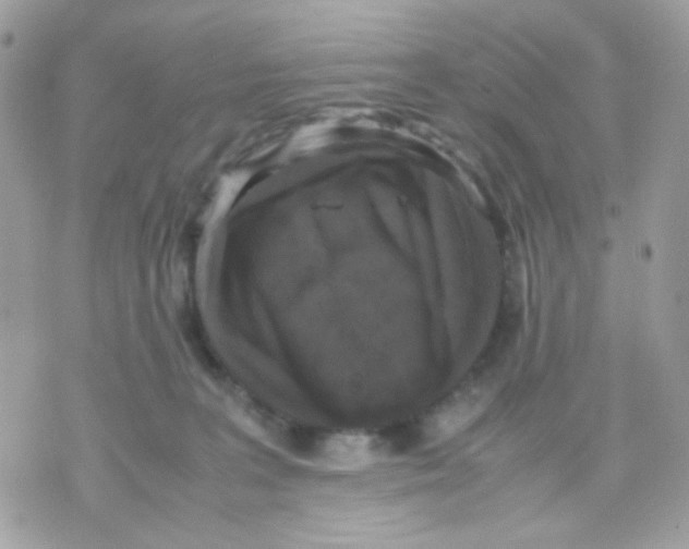 X0000070350227200607072046